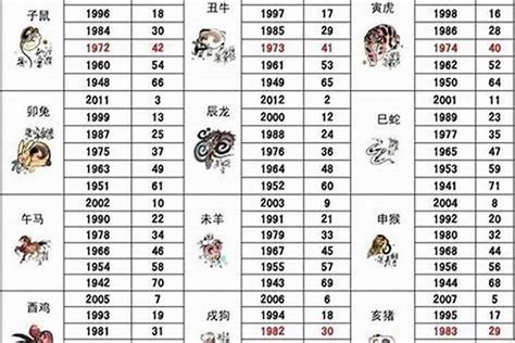 1980年 生肖|1980 年出生属什么生肖